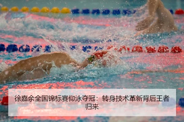 xu-jia-yu-quan-guo-jin-biao-sai-yang-yong-duo-guan-zhuan-shen-ji-shu-ge-xin-bei-hou-wang-zhe-gui-lai-3-227.jpg